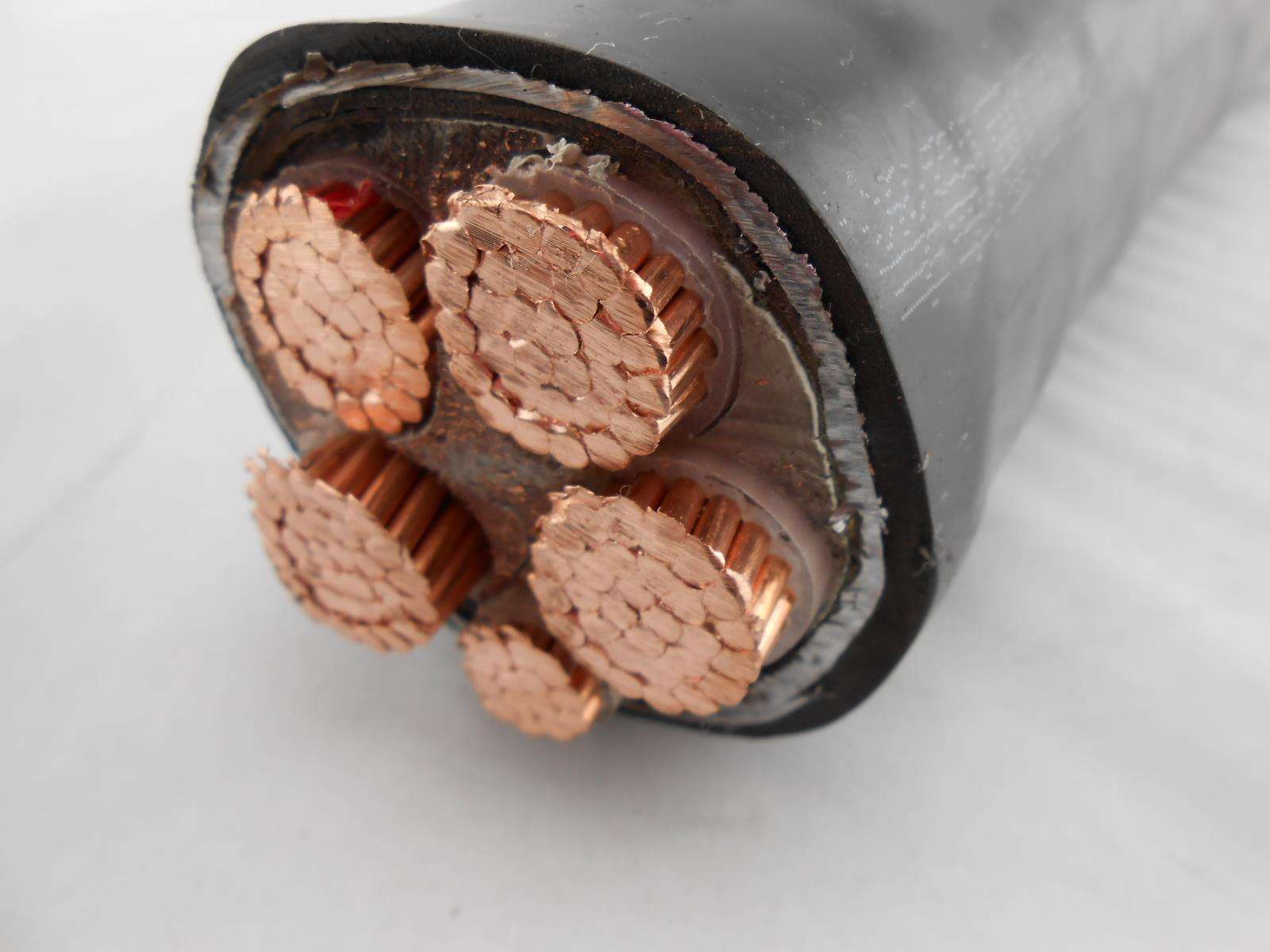 power cable.jpg